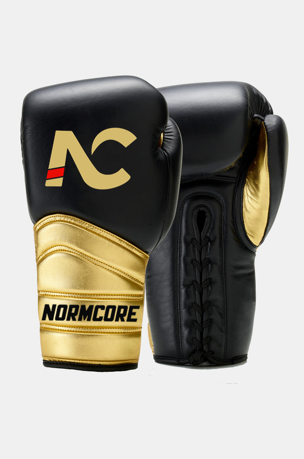 Sparring Gloves