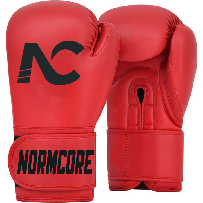 Sparring Gloves