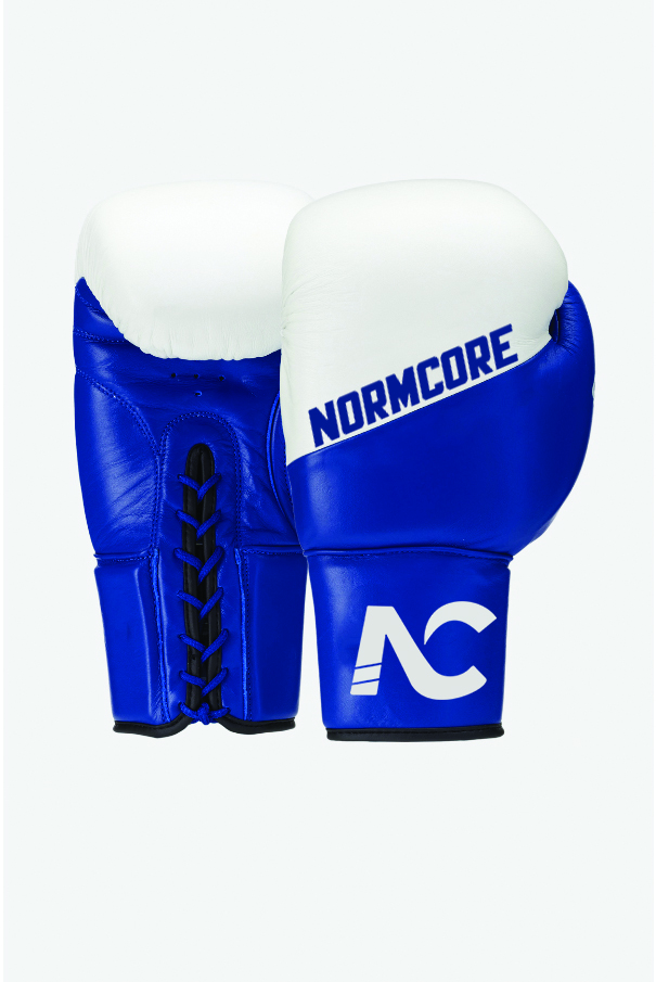 Sparring Gloves